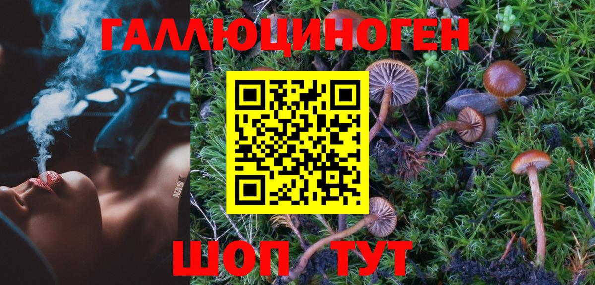 Галлюциногенные грибы MAGIC MUSHROOMS Можга