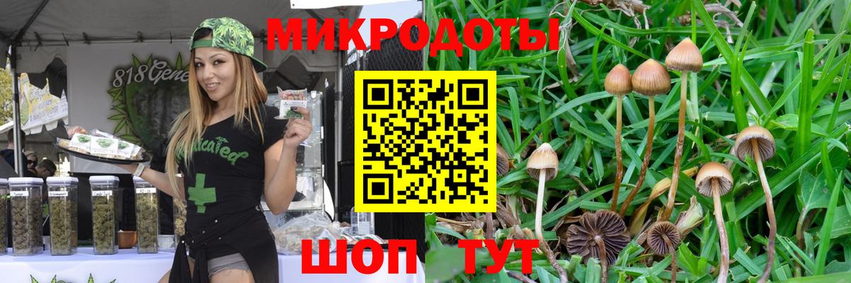 Псилоцибиновые грибы прущие грибы  Вход с VPN  продажа наркотиков  Псилоцибиновые грибы прущие грибы  Можга 
